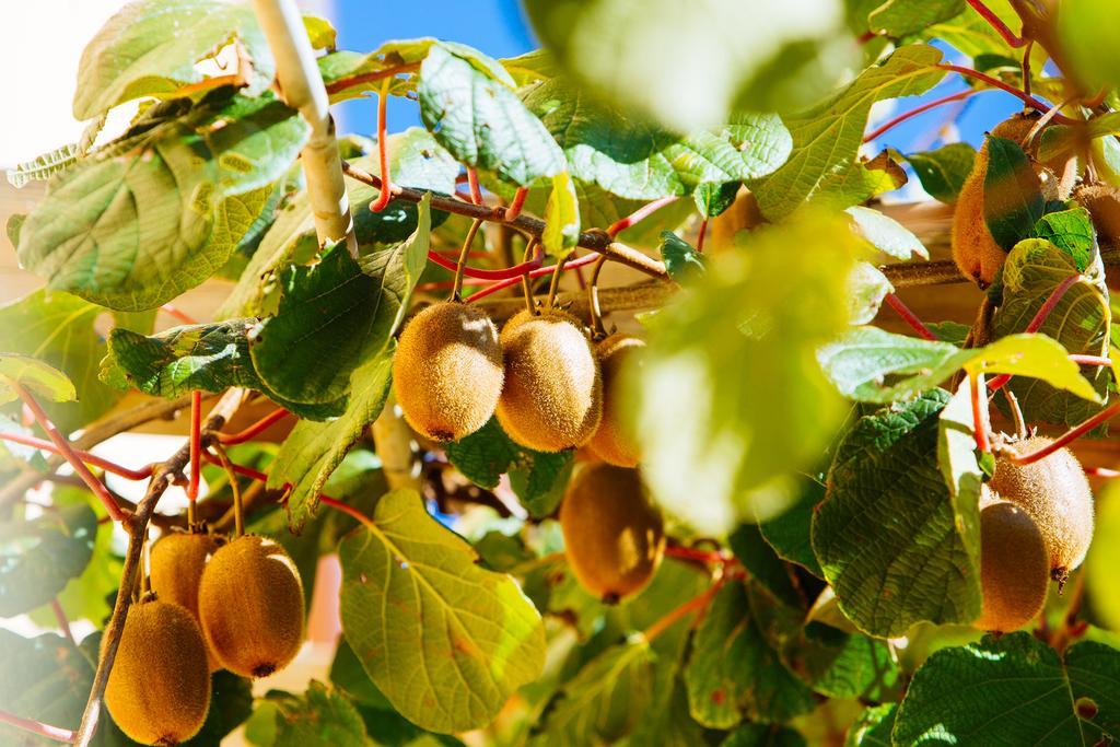 Agriturismo La Coccinella Valfabbrica Εξωτερικό φωτογραφία
