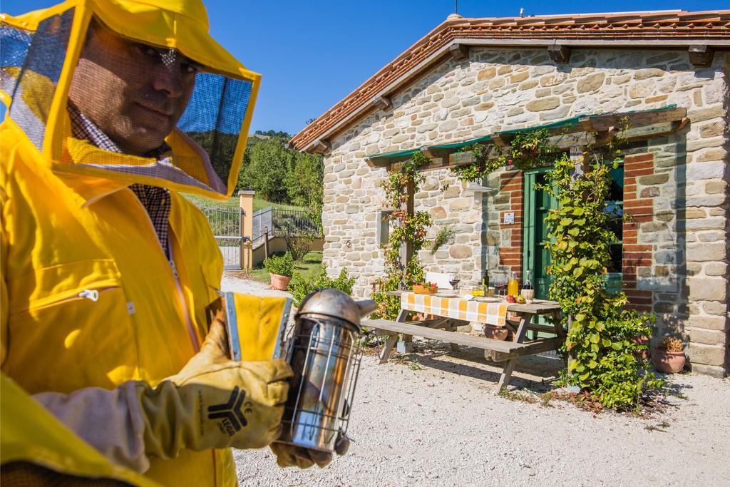 Agriturismo La Coccinella Valfabbrica Εξωτερικό φωτογραφία